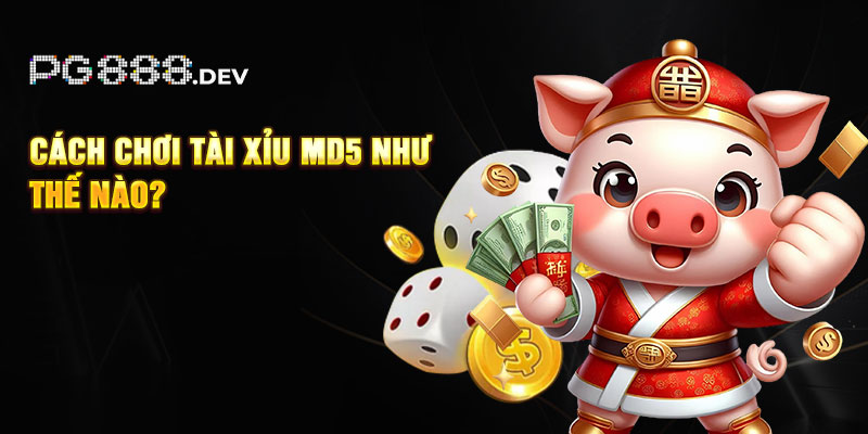 Cách chơi tài xỉu MD5 như thế nào?