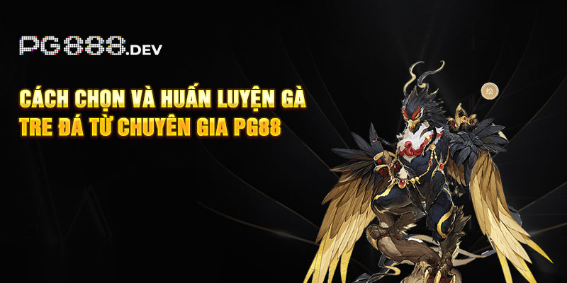 Cách Chọn Và Huấn Luyện Gà Tre Đá Từ Chuyên Gia PG88