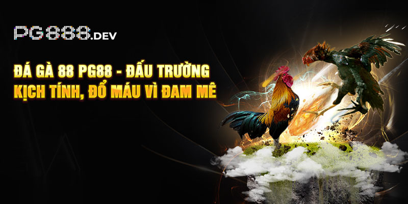 Đá Gà 88 PG88 - Đấu Trường Kịch Tính, Đổ Máu Vì Đam Mê