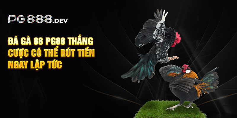 Đá gà 88 PG88 thắng cược có thể rút tiền ngay lập tức