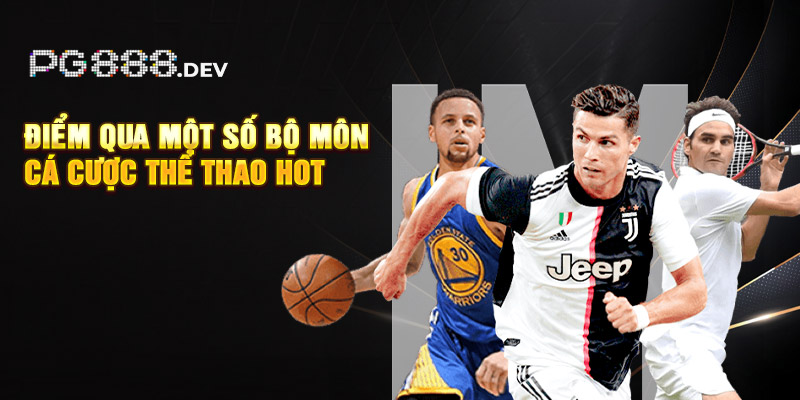 Điểm qua một số bộ môn cá cược thể thao hot