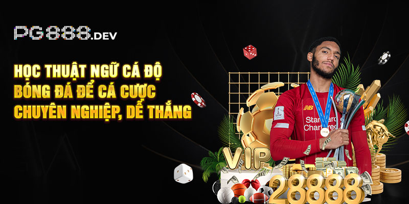 Học thuật ngữ cá độ bóng đá để cá cược chuyên nghiệp, dễ thắng