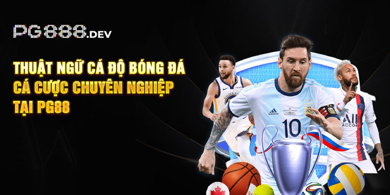 Thuật Ngữ Cá Độ Bóng Đá - Cá Cược Chuyên Nghiệp Tại PG88