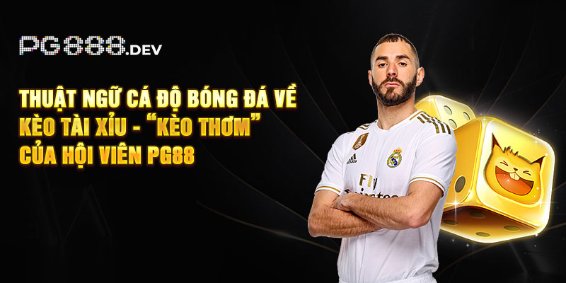 Thuật ngữ cá độ bóng đá về kèo tài xỉu - “kèo thơm” của hội viên PG88